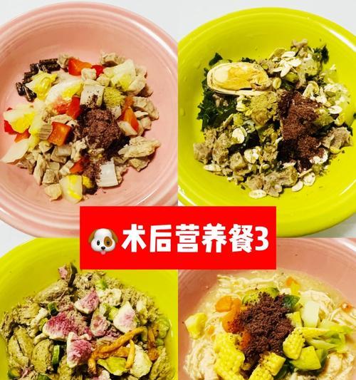 泰迪幼犬的饮食需求及合适食物选择（为你的泰迪宝宝提供健康的饮食）