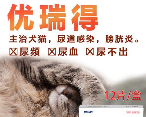 解决猫四个月尿不出来的问题（如何通过药物治疗解决猫尿潴留问题）