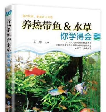 养热带鱼的注意事项（打造良好的水生环境，健康养殖热带鱼）