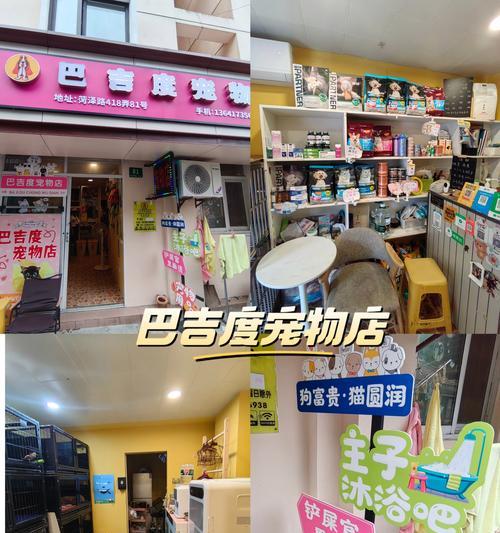 以巴吉度色彩斑斓之旅（探索以巴吉度的主题色彩，领略独特魅力）