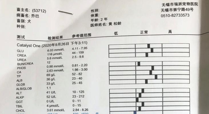 小狗缺乏精神，该如何喂药？（探究小狗缺乏精神的原因及合理喂药方法）