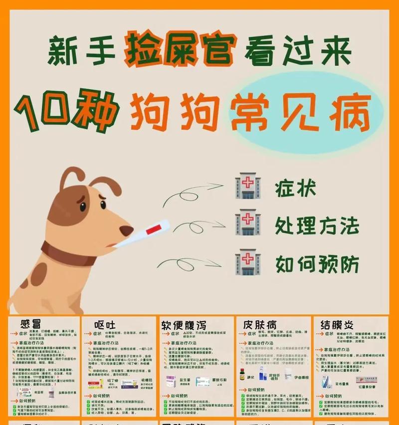为什么狗狗会出现反胃？（探究狗狗胃部问题的原因与解决方法）