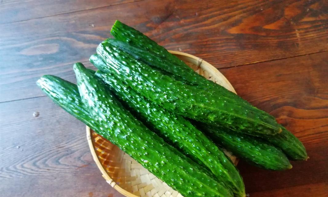 杜宾狗的蔬菜饮食指南（探索最适合杜宾狗的蔬菜饮食组合）