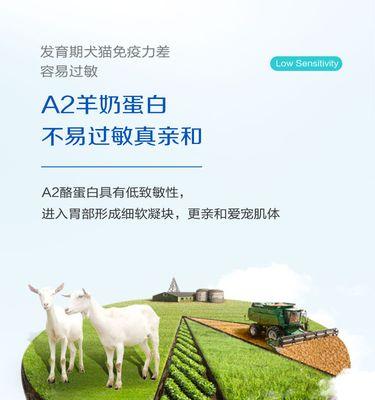 金毛幼犬的奶粉选择（如何为金毛幼犬选择适合的奶粉）