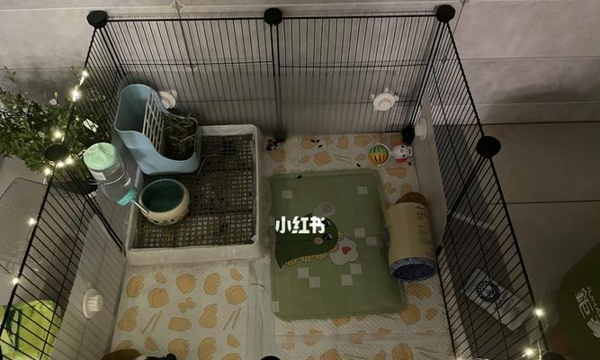 荷兰猪咬人问题的原因及应对方法（探究荷兰猪咬人的原因以及如何正确应对）