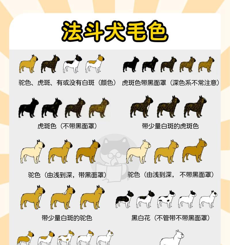 法斗与法牛（探究法斗和法牛之间的区别及其在养殖和宠物领域中的应用）