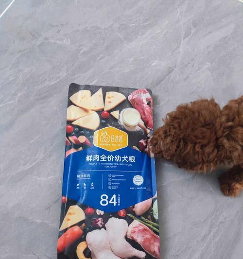 如何缓解金毛上火问题（金毛宠物所需的饮食调理与护理方法）