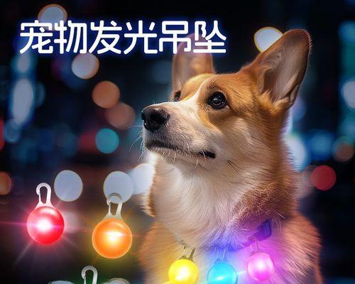 为什么狗带铃铛？（探究狗带铃铛的原因及影响）