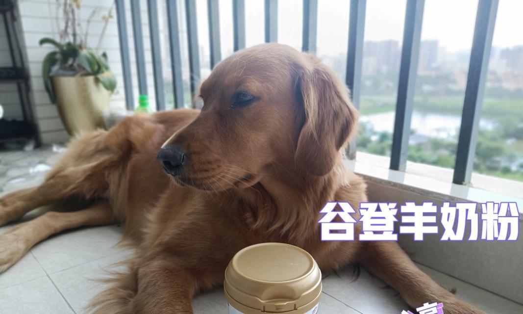 新生小狗的奶粉喂养方法（为幼犬提供正确的营养和护理）