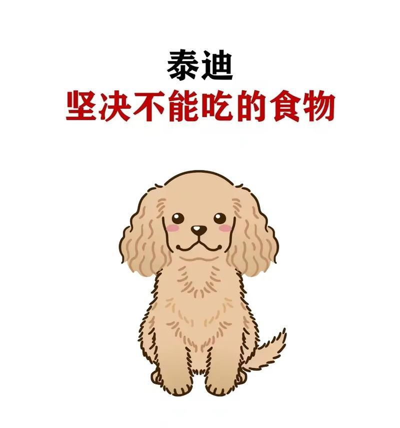 养泰迪狗的注意事项（打造健康快乐的泰迪伙伴）