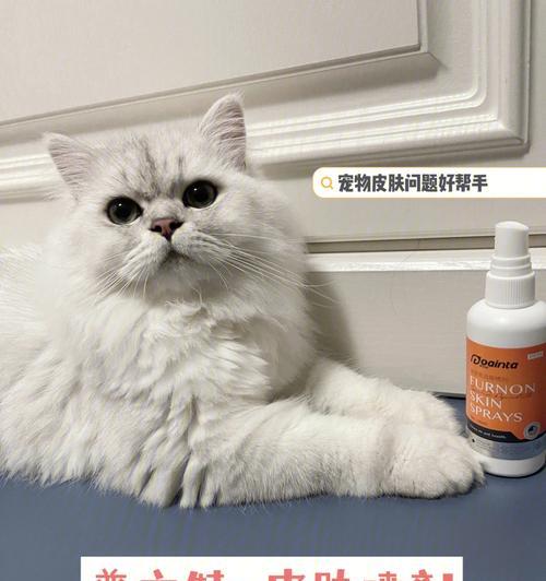猫咪的天敌是什么？（揭秘猫咪生活中的敌人）