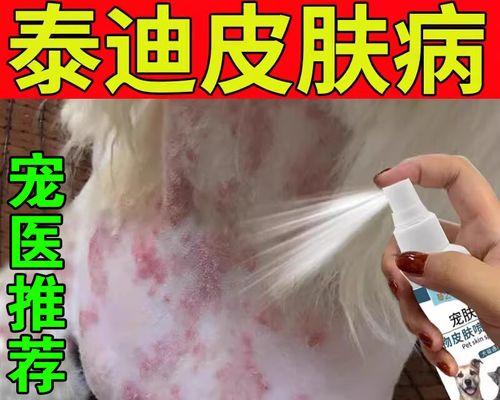 泰迪癣的症状及治疗方法（探索泰迪癣的外观特征和有效治疗方法）