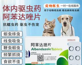 小狗外驱虫药品选择指南（为你的小狗选择合适的外驱虫药品）