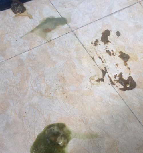 小狗拉稀腥臭的病因及应对措施（了解小狗拉稀腥臭的病因，做好相应的护理与治疗）