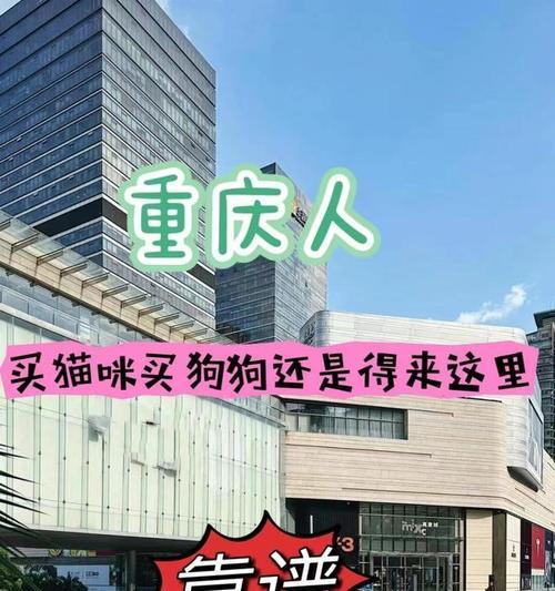 如何在合适的地方以便宜的价格购买狗狗（寻找适合你的狗狗，并节省费用）