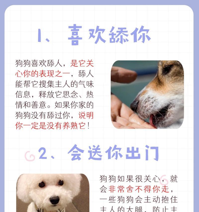 狗舔其他狗的意义及行为解读（狗之间舔舐行为的意义和表达方式）
