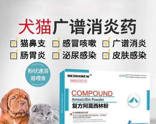 猫咳嗽喷嚏的药物治疗指南（了解猫咳嗽喷嚏的症状与药物治疗方法）