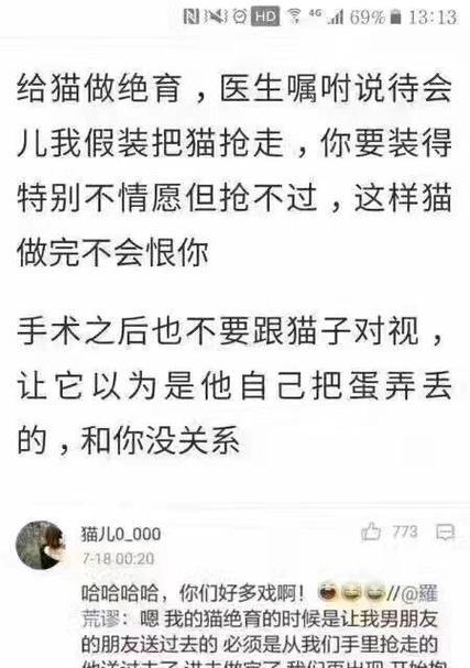 动物绝育（呼吁社会关注，改变动物命运）