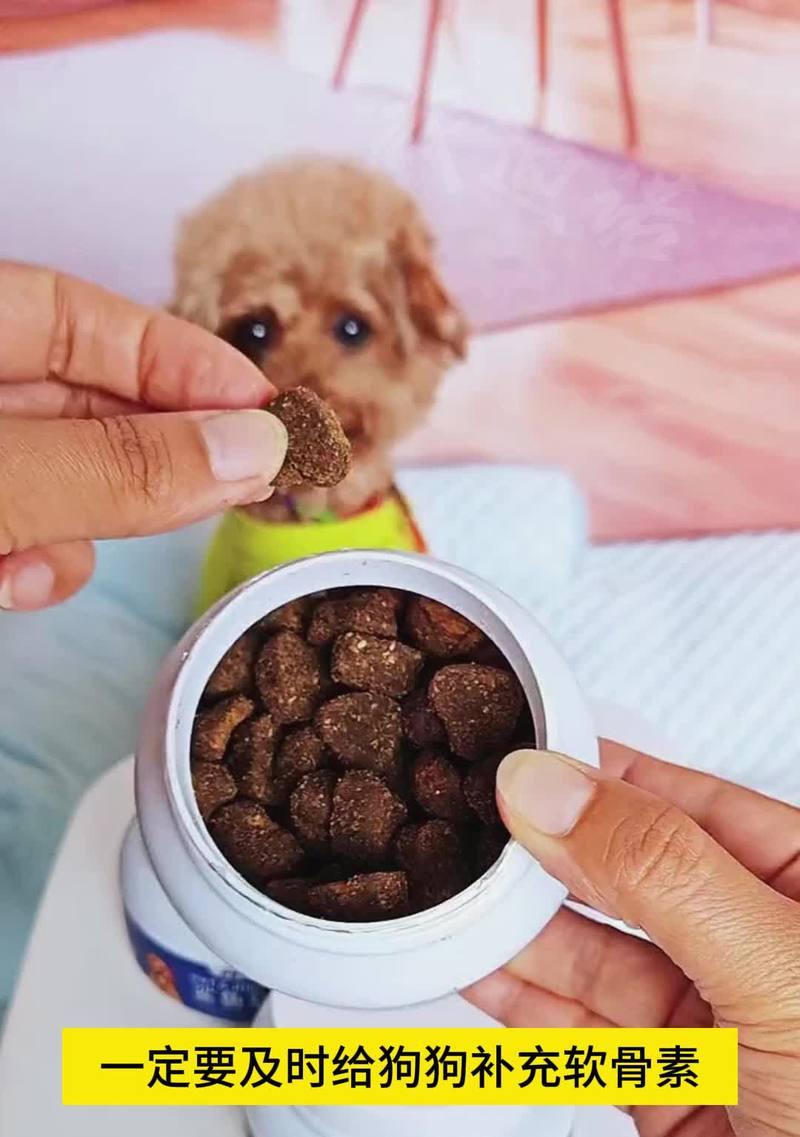 狗狗缺钙怎么办？补充这几种钙质最好！（了解狗狗的钙需求，给它提供适当的补钙方法）