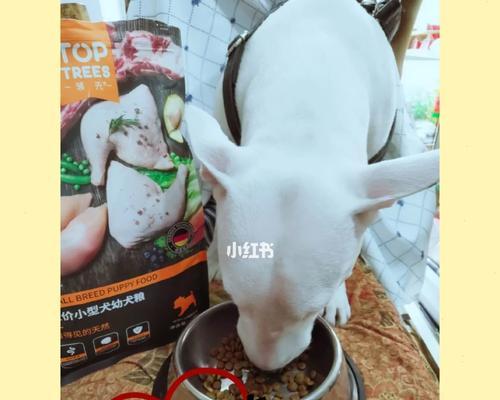 狗狗换狗粮的重要性（了解换粮对狗狗的意义，提升其健康与幸福）