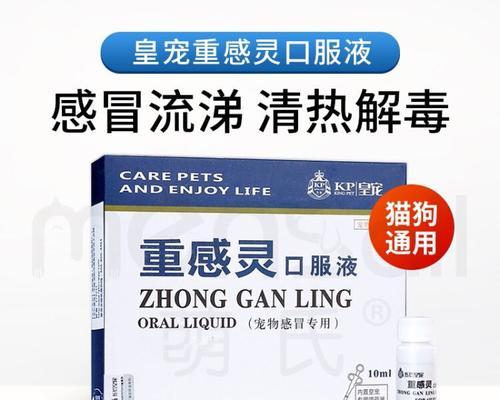 狗狗打喷嚏发烧该吃什么药？（药物治疗狗狗打喷嚏发烧的正确选择与注意事项）