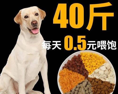 选择合适的拉布拉多狗粮，让你的宠物健康快乐