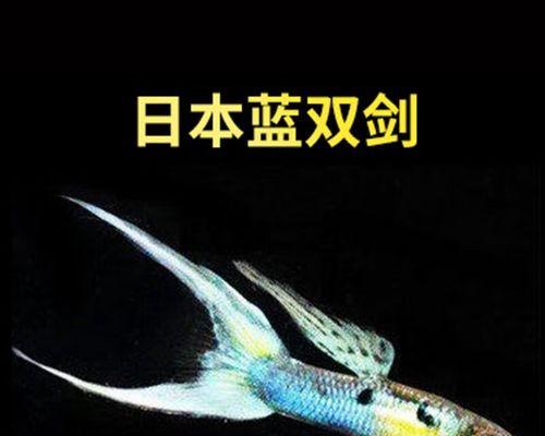 孔雀鱼的水质要求及饲养技巧（了解孔雀鱼对水质的需求，让其健康成长）