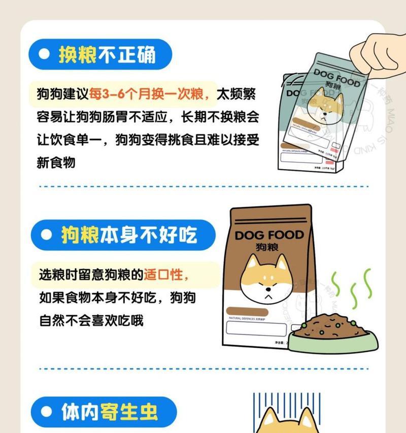 小狗为什么总是充满食欲？（探究小狗对食物的极大兴趣及背后的原因）