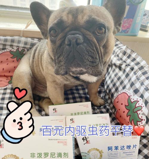 如何给幼猫狗进行月驱虫？（选择适合幼猫狗的驱虫药，）