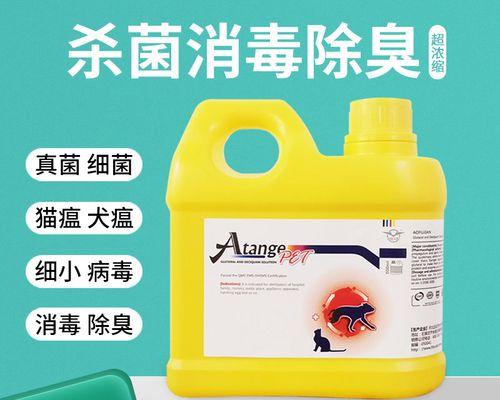 选择合适的消毒液，保护狗狗的健康（探索狗狗消毒液选择的关键因素）
