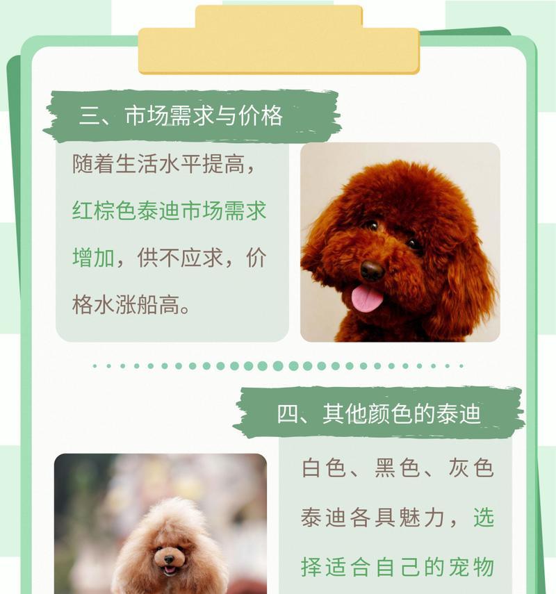 迷人的灰色泰迪（以亮灰色泰迪是什么颜色好看的探究）