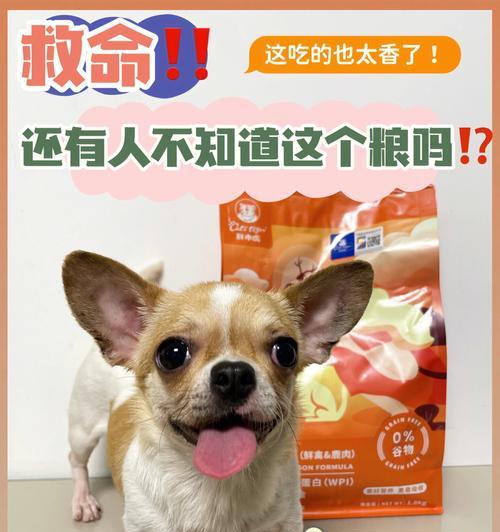 探讨狗癫痫病的药物治疗方案（了解狗癫痫病的症状和常用药物，提高治疗效果）