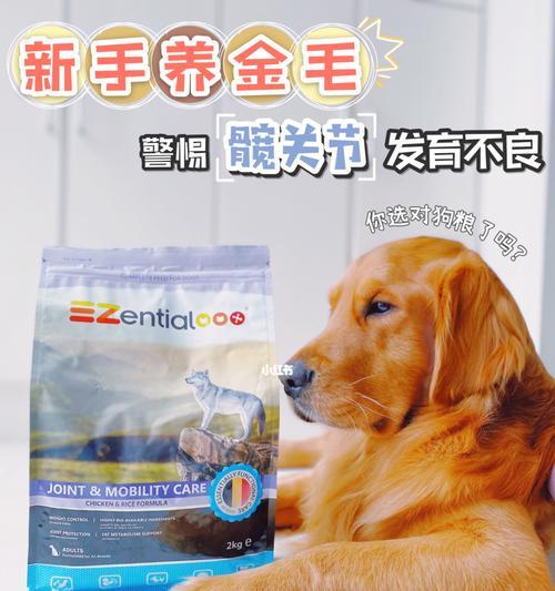 小狗CHD（探索CHD意义及其对宠物界的影响）