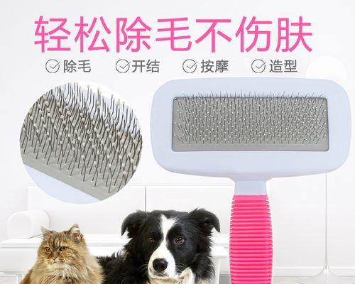 萨摩耶犬的疫苗接种指南（保护你的宠物健康的必要措施）