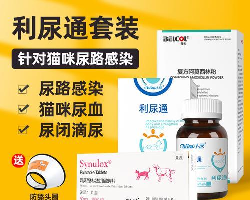 猫病急救！四个月的猫尿不出来怎么办？（解救你家喵星人，赶赴医院拯救它的生命！）