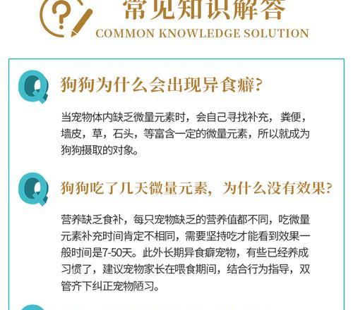 兔子为什么喜欢咬东西？（探索兔子咬东西的原因与解决方法）