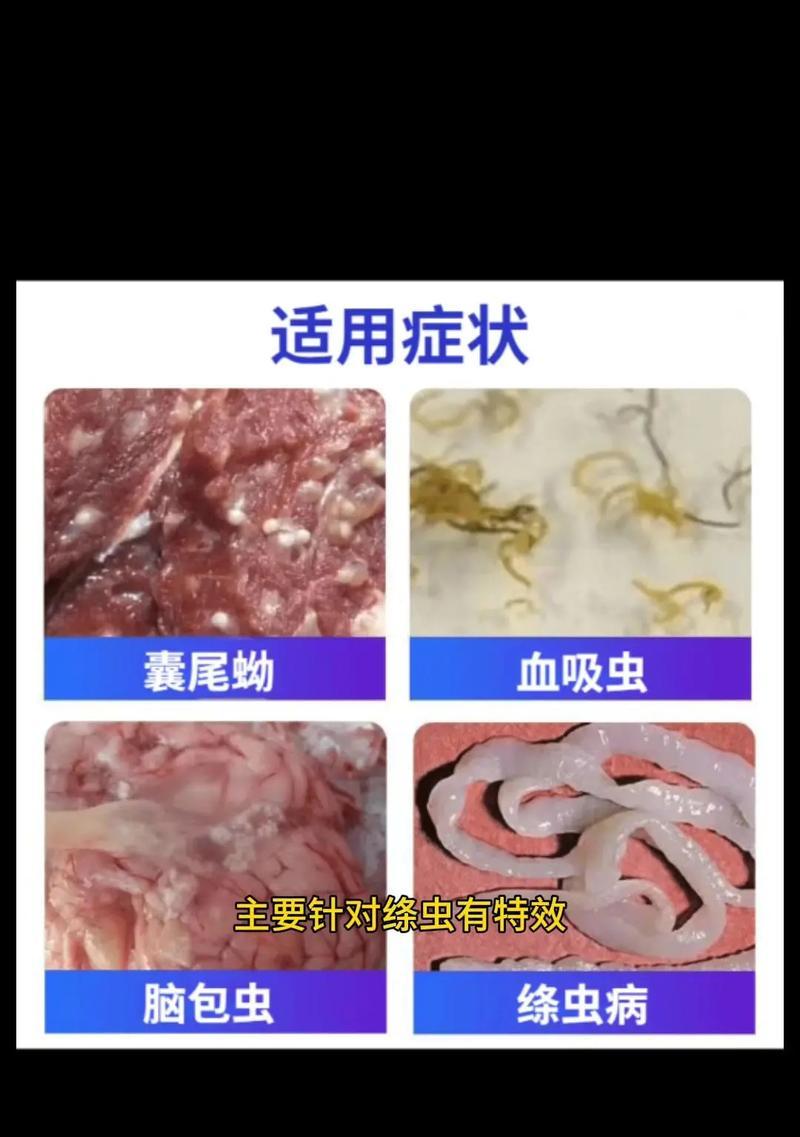 成年萨摩耶驱虫的药物选择与使用方法（萨摩耶驱虫药的种类及正确使用指南）