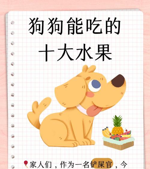 狗狗肠胃痉挛，如何选择合适的药物治疗？（狗狗肠胃痉挛的症状和常见药物治疗方法）