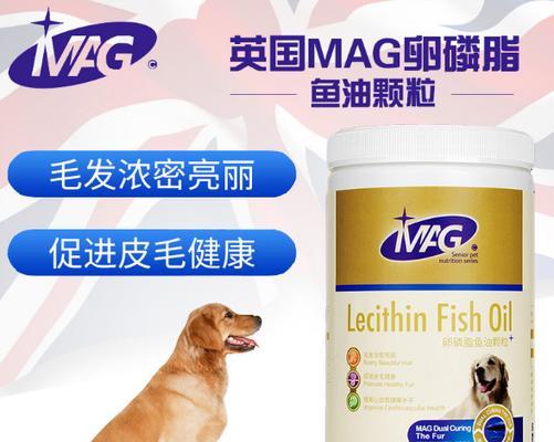 比熊的健康与营养——卵磷脂牌子的选择（了解比熊所需的营养，从卵磷脂牌子开始）