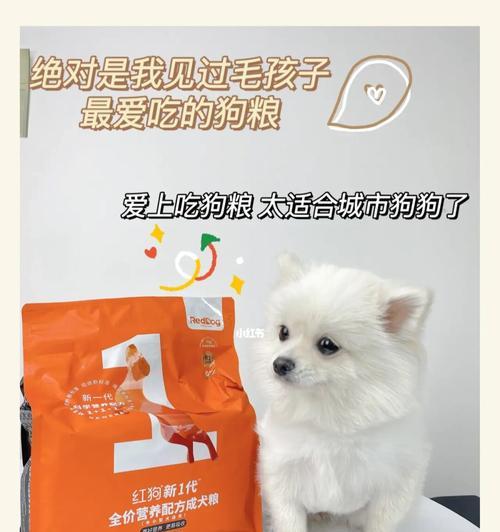 狗狗孩子的健康保障（关于狗狗孩子服用药物的种类、剂量和适用情况的全面解析）