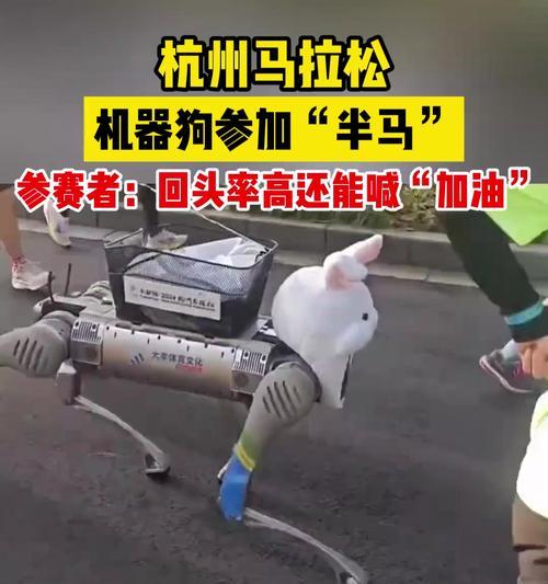 狗之竞技（精彩纷呈的狗类竞赛世界——让我们一起探索！）