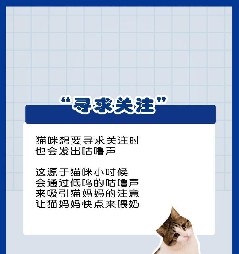 小猫咕噜咕噜叫的意思及其背后含义（揭开小猫咕噜咕噜叫声的秘密，让你更了解它们）