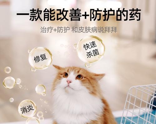 如何改善黑色狗狗皮肤问题（有效药物选择和护理方法，让狗狗皮肤恢复健康）