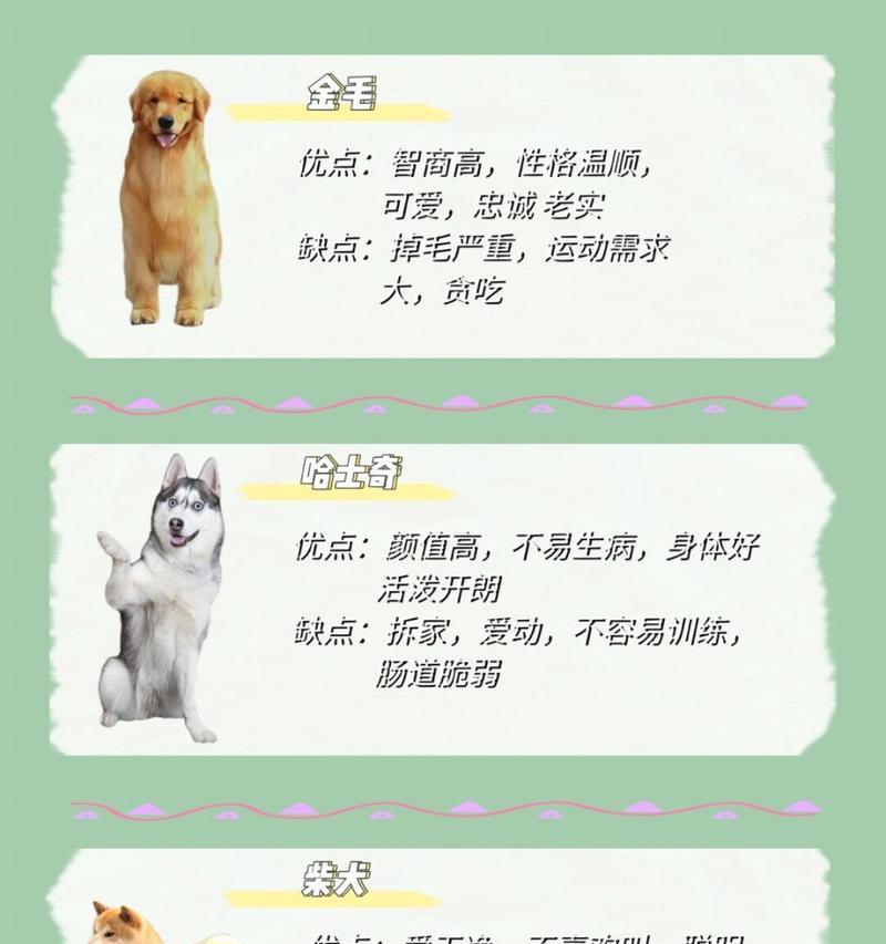金毛犬的脱毛季节与护理（了解金毛犬脱毛周期，打造健康亮丽的毛发）