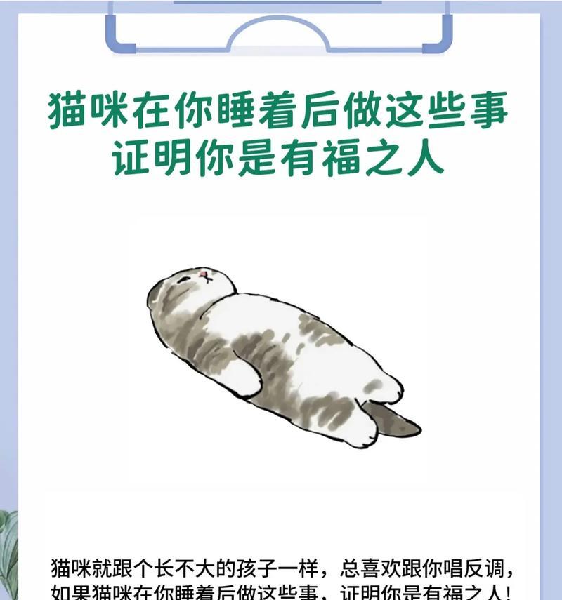 小猫的睡眠习惯（探究小猫什么时候睡觉及其对健康的重要性）