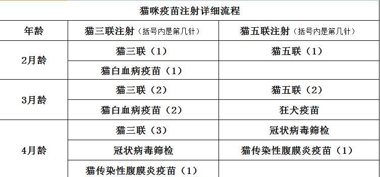 猫猫打疫苗的注意事项（如何保障猫咪健康成长）
