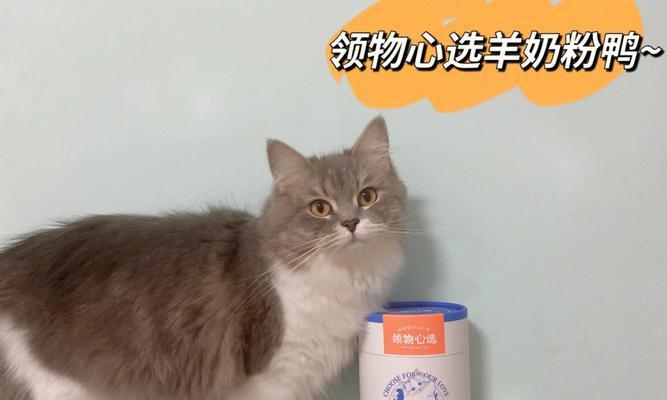 超市中可供猫咪饮用的奶品（一起来了解超市中适合猫咪饮用的奶品吧！）