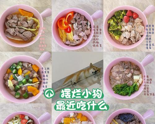 两个月大的小狗应该吃什么？（提供给两个月小狗的营养均衡食谱及注意事项）