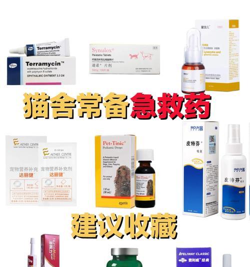 如何治疗流脓的猫眼睛？（安全有效的药物治疗和护理方法）