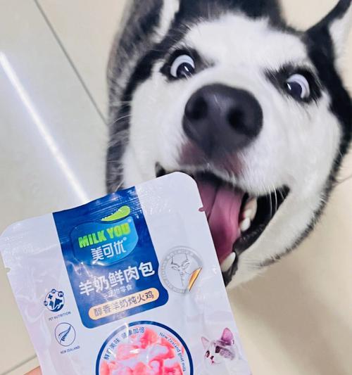 如何有效应对哈士奇换毛问题（科学饮食是关键，合理调理毛发）